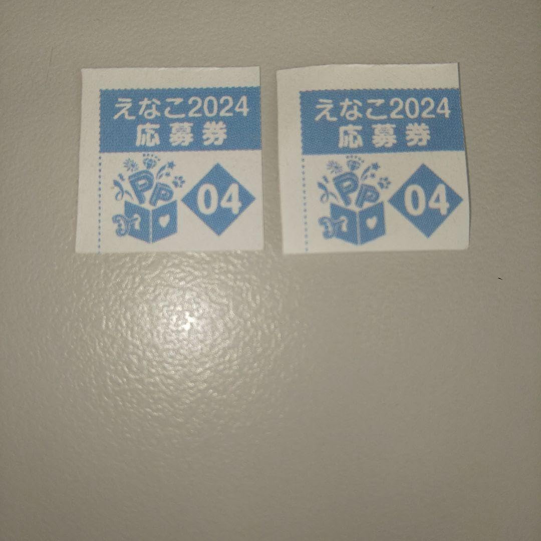 えなこ 特製小冊子 完全未開封品 2023年と2022年 夏の表紙ジャック えなこ夏の表紙ジャックキャンペーン2025 応募券 14枚 夏の