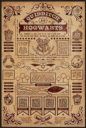 Amazon.com: Harry Potter - Framed Movie Poster/Print (Quidditch at Hogwarts)  (Size: 24 inches x 36 inches): Posters & Prints
