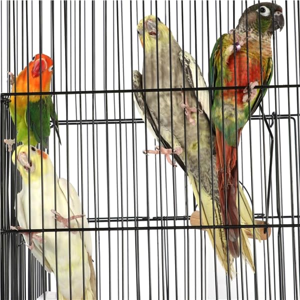 Gabbia Voliera per Uccelli Inseparabili in Metallo Con Due Posatoi Vassoio Estraibile in Legno Nero