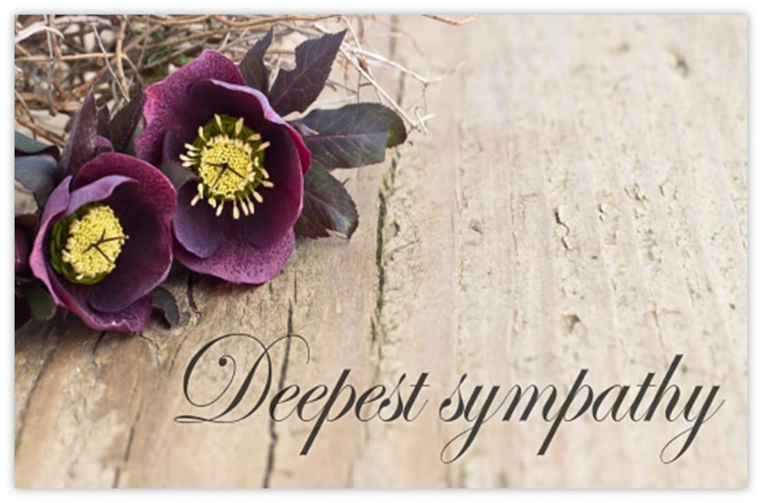 celloexpress Deepest Sympathy (Lenten Rose) Flower Message Cards - 55mm x 85mm - Bereavement Florist Card Sympathy Condolences Notes (Pack of 100) — image 1