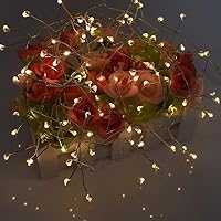 Vista 6 de HANNAHONG Guirnalda de 100 luces LED para corona/guirnalda, árbol de Navidad, dormitorio, botella/tarro, enchufe USB, luces parpadeantes de alambre