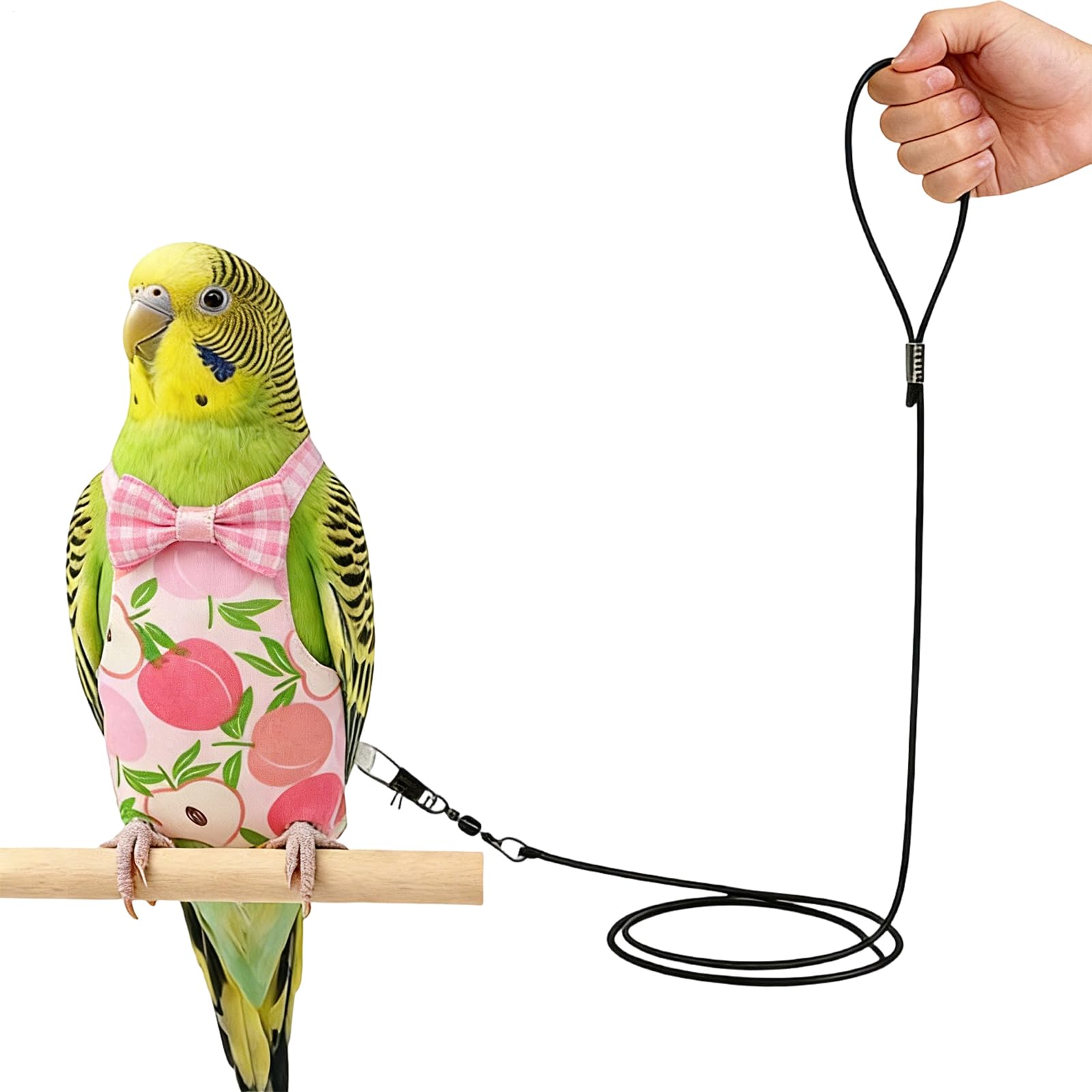 Couches à oiseaux pour animaux de compagnie, réutilisables et lavables, avec corde pour l'entraînement au vol des oiseaux, pour aras, perruches, inséparables, calopsittes et calopsittes