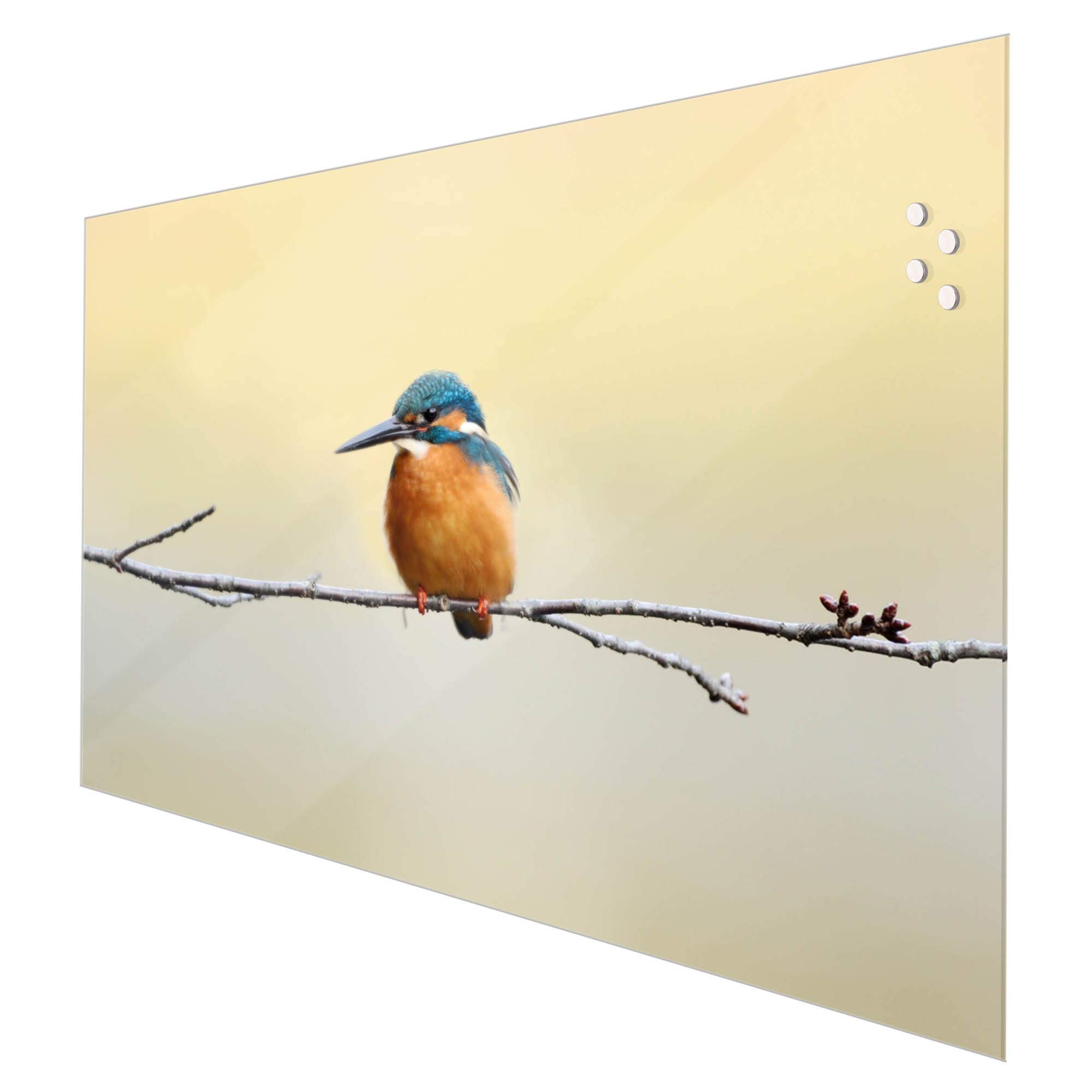 Banjado Küchenrückwand Glas 75x50cm - Selbstklebend, Magnetisch & Beschreibbar Mit Sonnen-Motiv