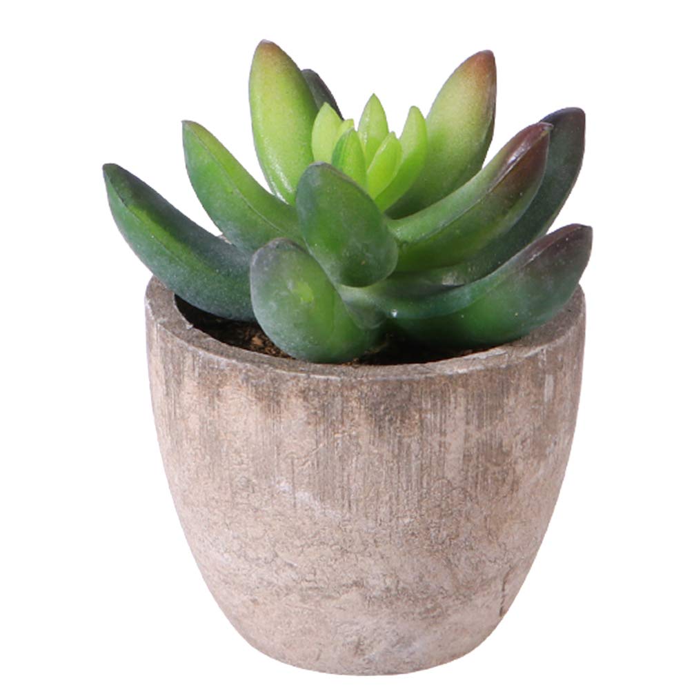 Cabilock Multicolor Artificial Bonsai Succulent Plant Fake Potted Decor For Office Present For Couples