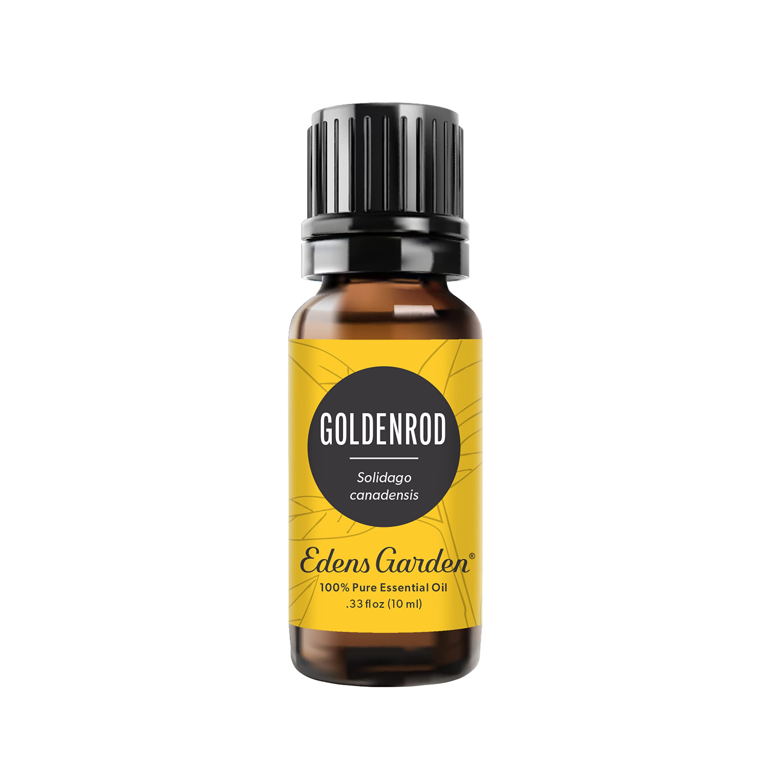 Edens Garden Goldenrod 100% Pure Therapeutic Grade Essential Oil - 10 ml
