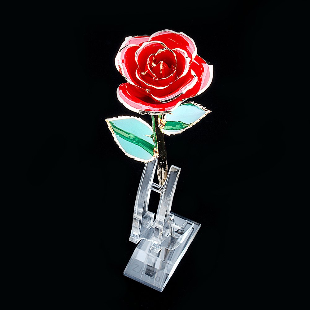 ZJchao dorados de 24 quilates Rose Rose conservadas. La Eternidad Florece