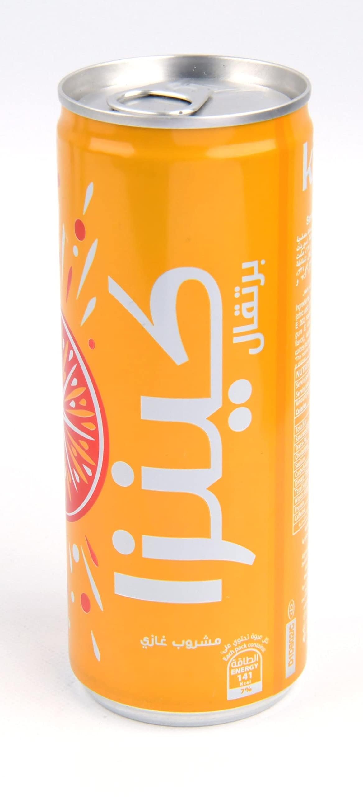 『kinta』 Kinza Orange Carbonated Soft Drink - 250ml Pack of 6 : Amazon.in