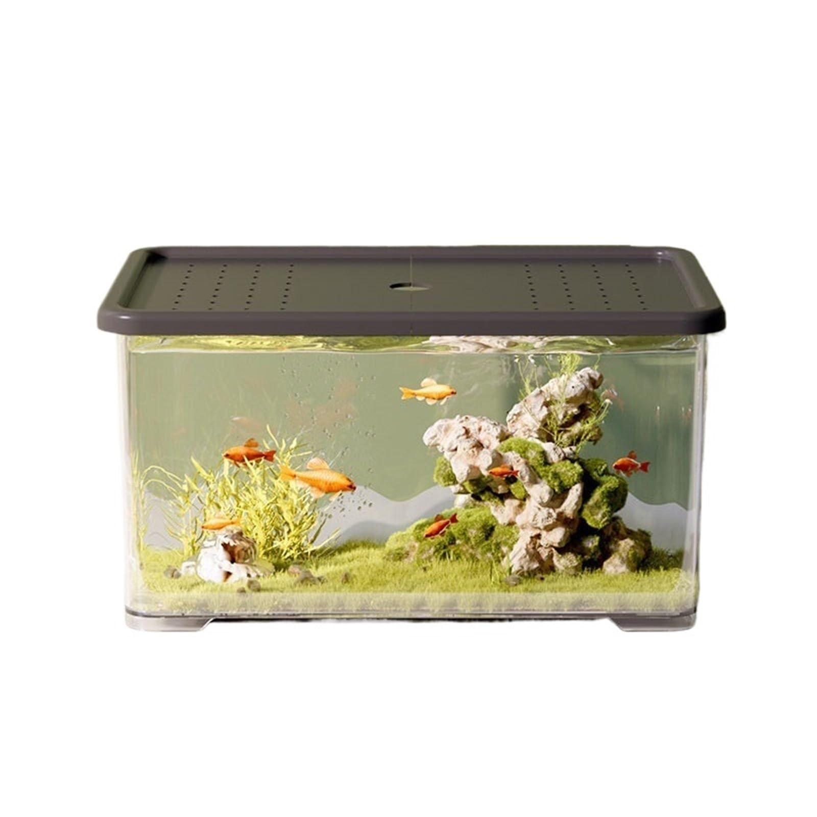 Siedlisko terrarium Zbiornik do hodowli żółwi, stacjonarny, ekologiczny zbiornik użytku domowego, wszechstronny Terrarium akwariowe