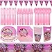 Décorations de Table de Fête-Nesloonp,92PCS Décorations de Table de Fête D'anniversaire pour Filles,Ensemble de Vaisselle de Fête D'anniversaire Décoration de Fête D'anniversaire pour Enfants