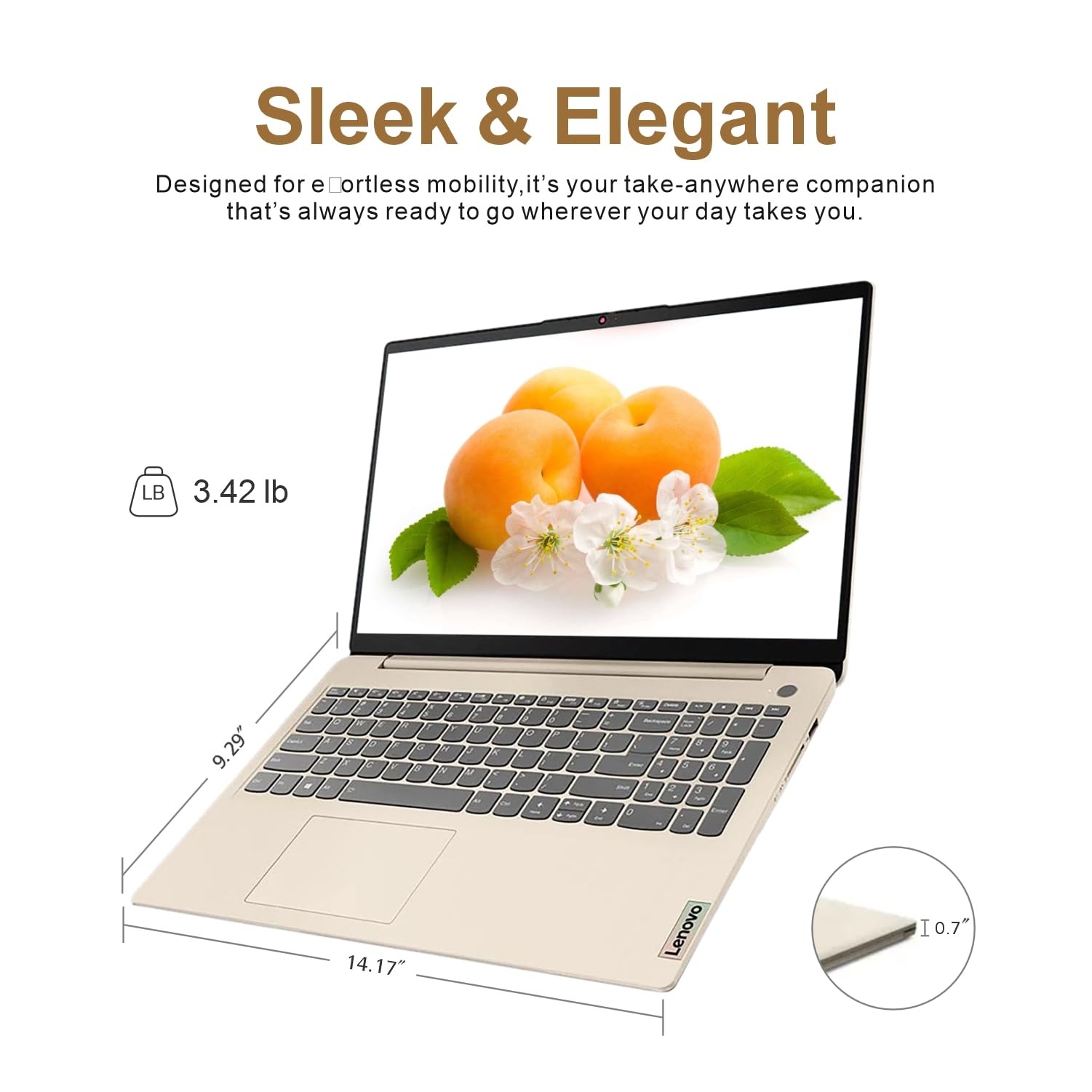 Lenovo Laptop for Business and Student | Intel Core |15.6 Anti-Glare Screen | 1 Year Office 365 | 12GB RAM | 512GB SSD + 128GB eMMC | 1TB Cloud Storage | 11HR Battery | SD Card Reader | Windows 11