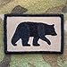 Gadsden and Culpeper Black Bear Wildlife 2