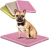 BANU Puppy Pee Pad Holder Indoor Outdoor Dog Potty Toilet Training Tray 20 x 16 for Small and Medium Dogs (Ivory)