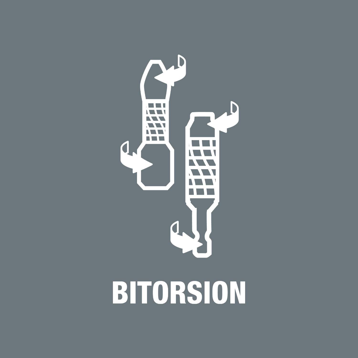 Bit-Check 10 BiTorsion 1, 10 piezas