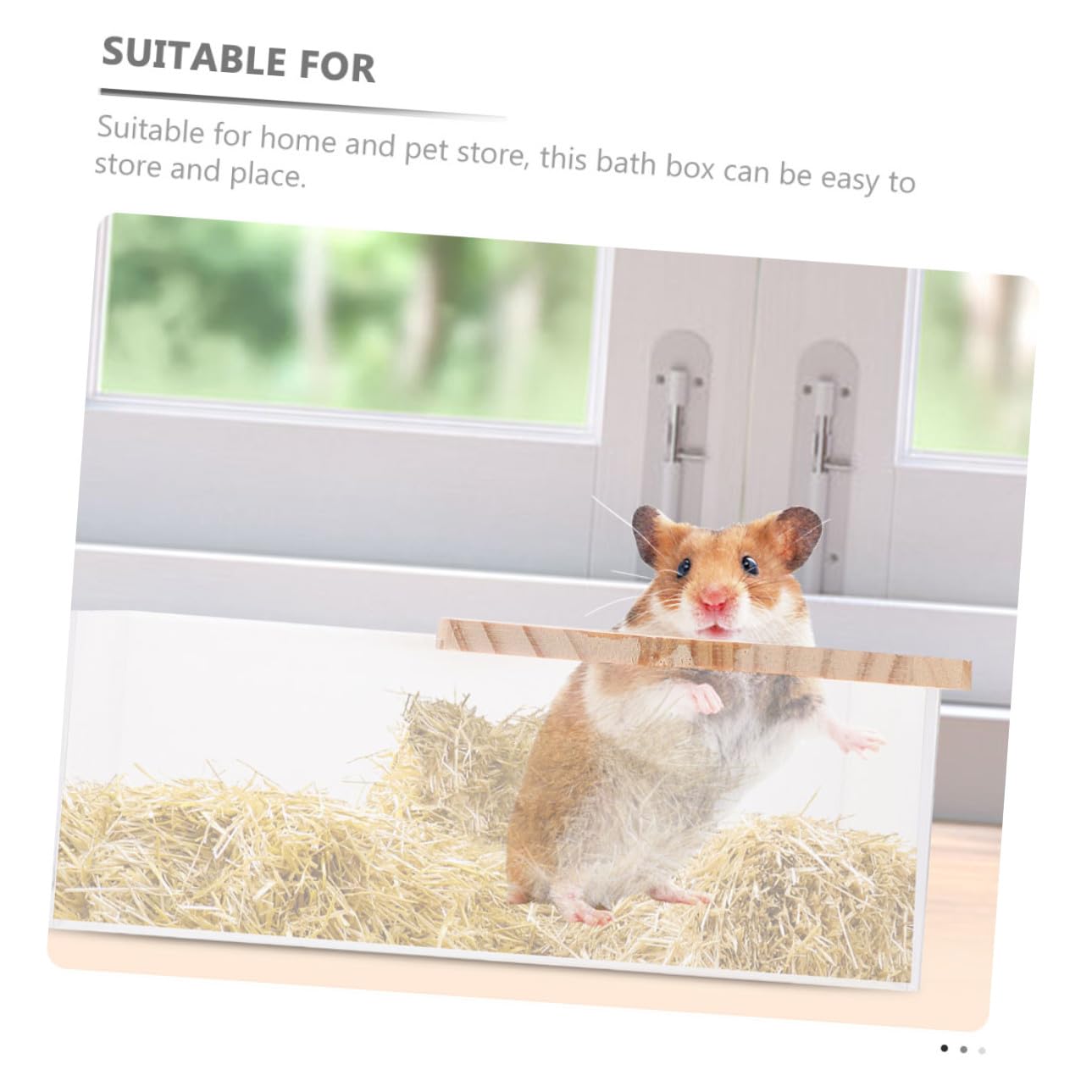 KOMBIUDA Badebehälter Transparent für Hamster und Meerschweinchen 2 Stück Acryl Verschleißfest und Sicher zum Spielen und Baden für Zuhause und Tiergeschäft