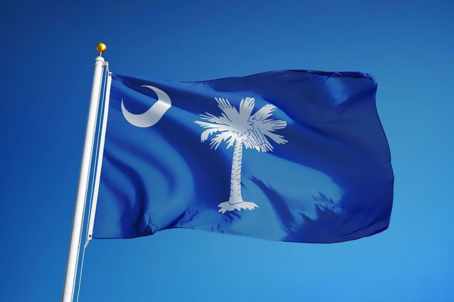 South Carolina Flag 3x5 Double Sided Embroidered - Heavy Duty Polyester Outdoor State Flag With Brass Grommets