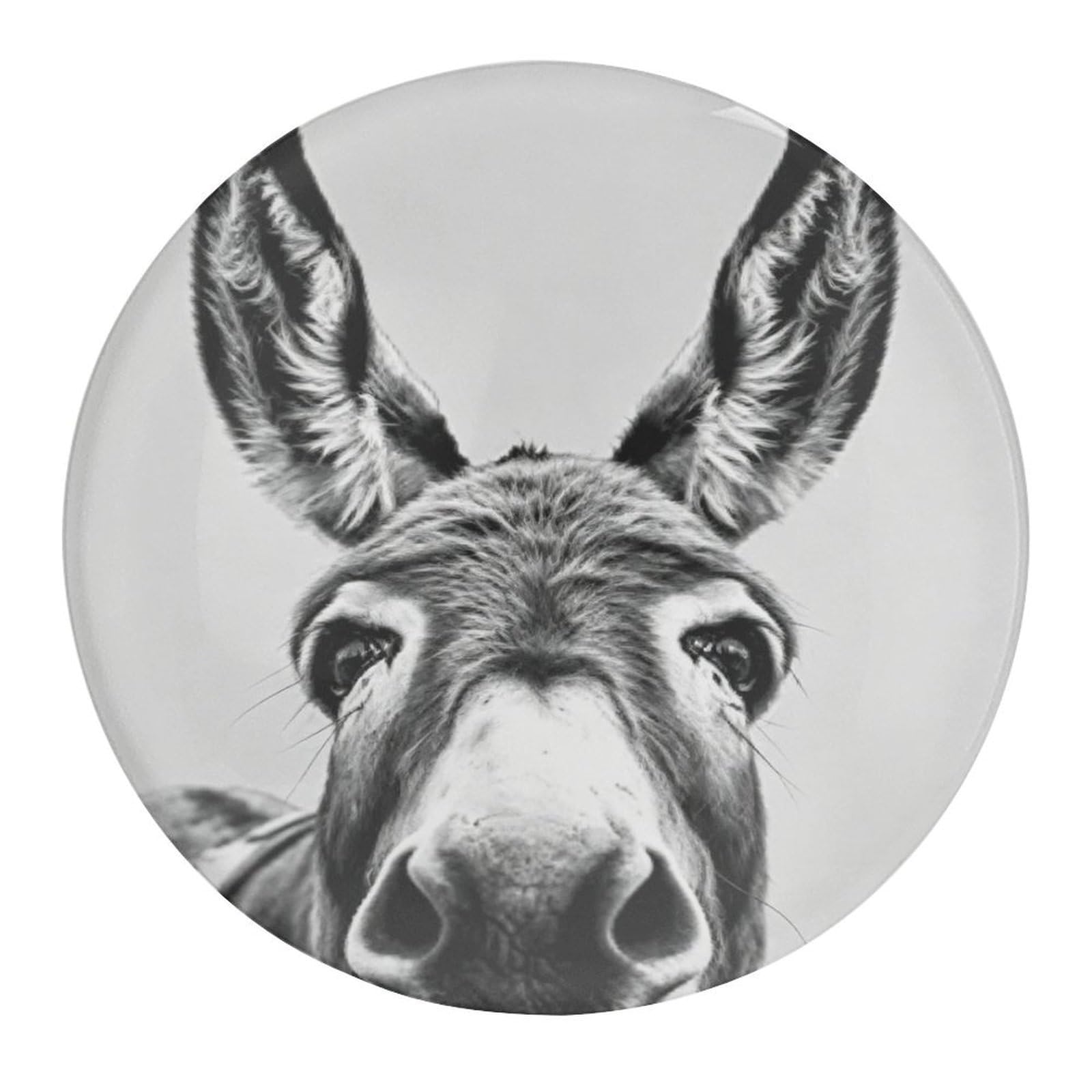 Fekiloot Style Funny Donkey Refrigerator Magnet Fridge Magnet4 Pcs
