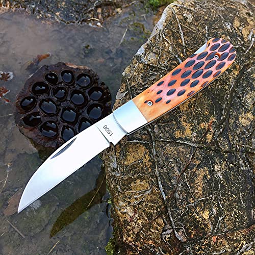 Watchman Brother1506 Blade Knife Carbone Fiber Bone Grips Lock Back Pocket Knife … (bone)