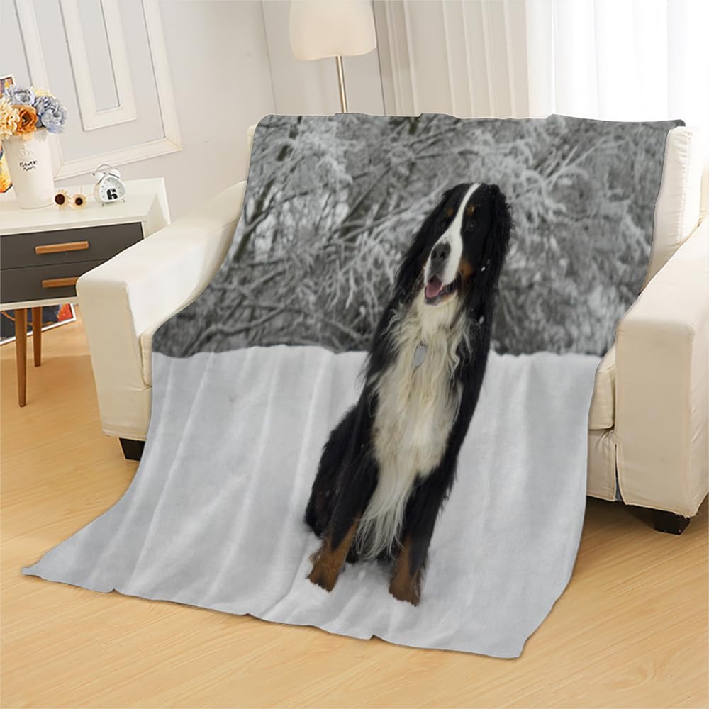 Douce Flanelle Couverture Polaire 3D Chien Montagne Bernois Microfibre Fluffy Couverture de literie 2 Personne Chien Compagnie Enfant Adultes Fille Garcon Sherpa Couverture de canapé 150x200cm