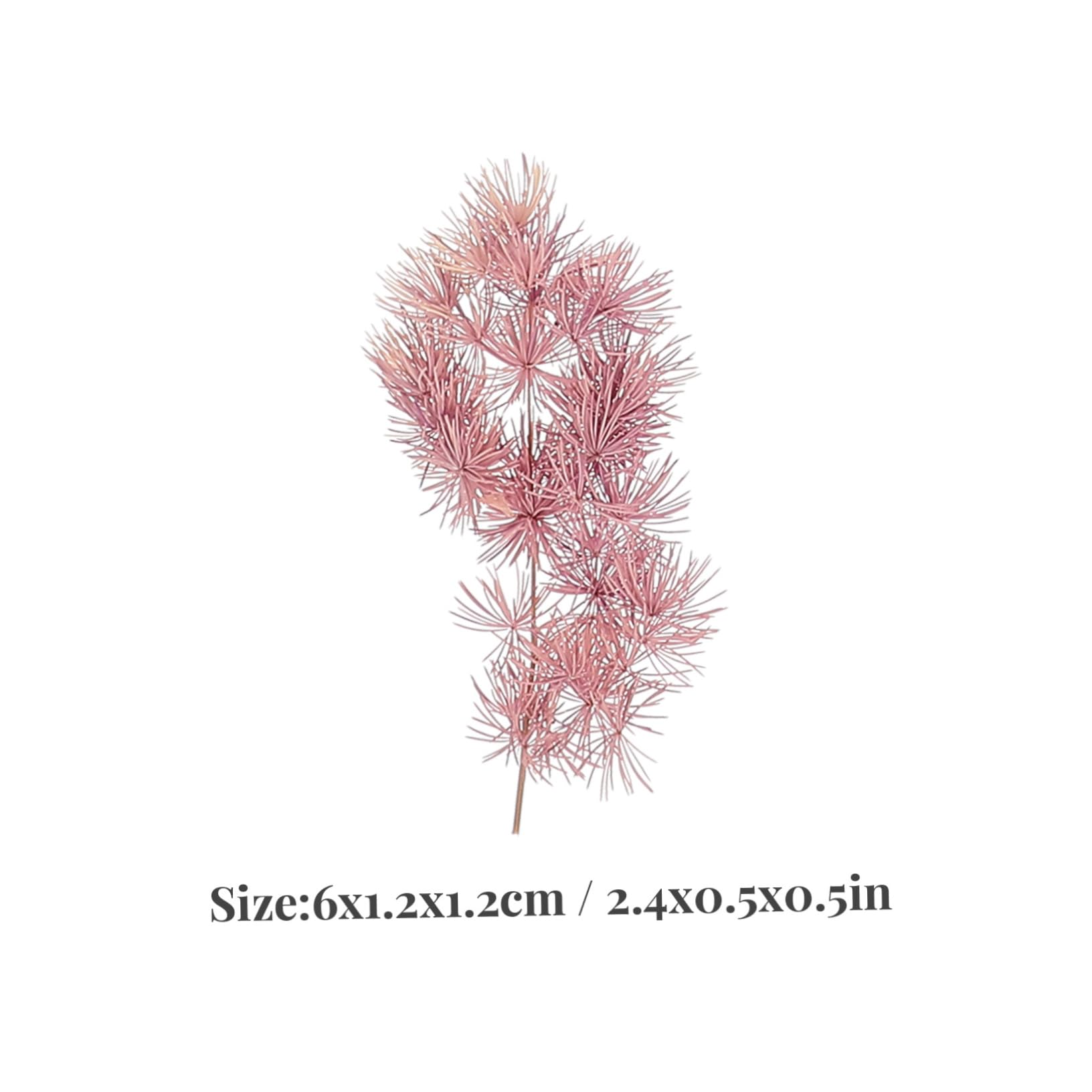 Abaodam 5ensembles Fleurs Séchées Naturelles pour Matériaux Artisanaux Décoration Unique pour Scrapbooking Manucure Et Créations Personnelles pour La Créativité
