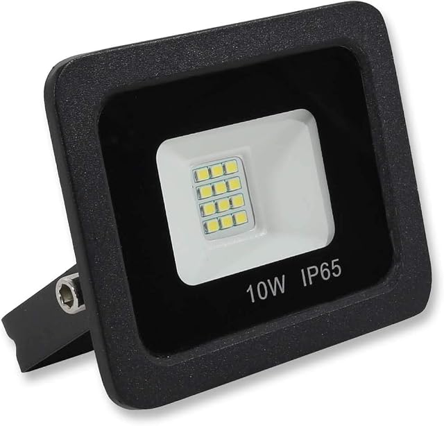 LOWENERGIE LED Floodlight 12V DC Outdoor Lighting Garden Security Flood Light (Day White 6000K, 10W)