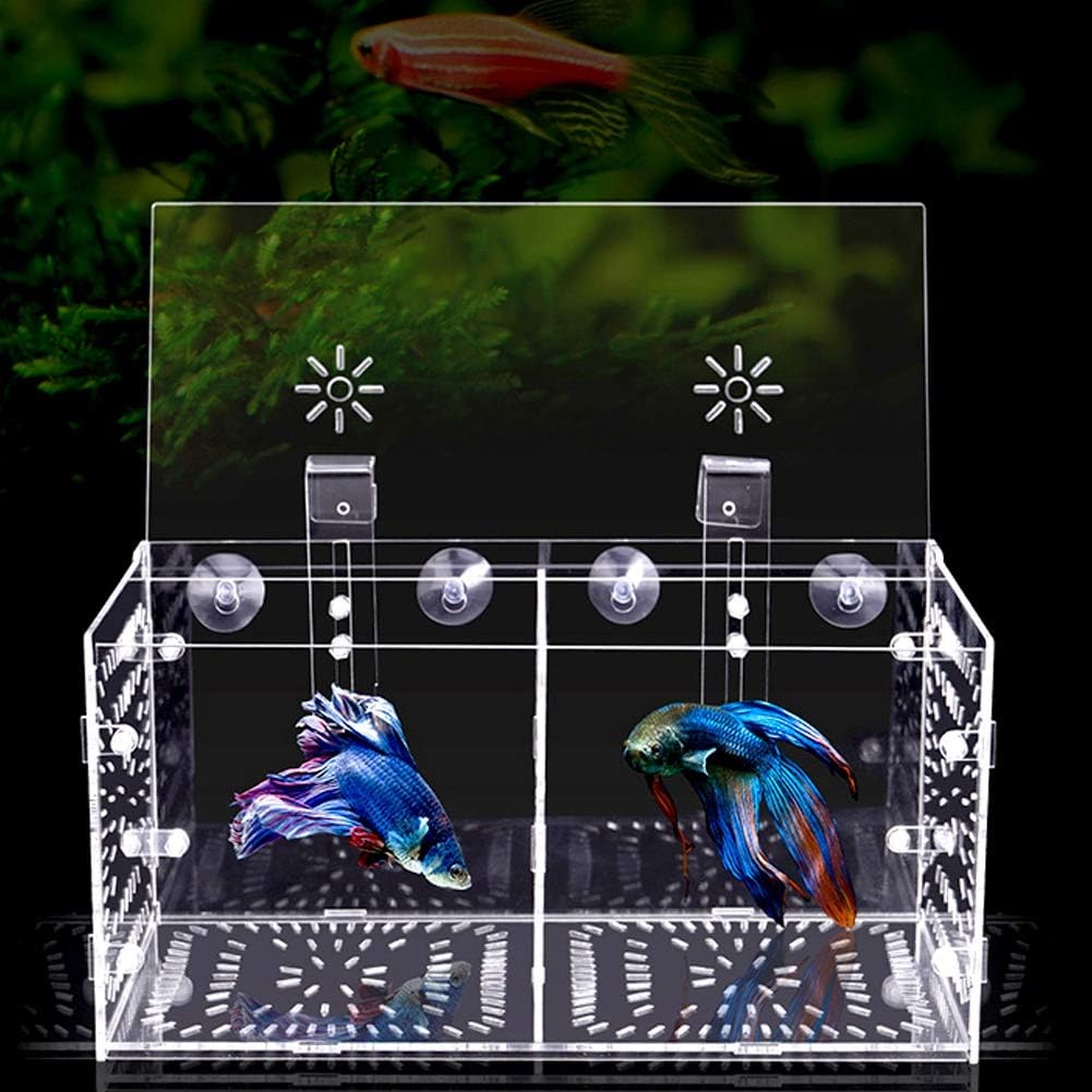 Fish Isolation Breeding Box Acrylic Incubator Floating Aquarium Hatchery Breeding and Parenting Box for Fish Aquarium(30CM*15CM*15CM)