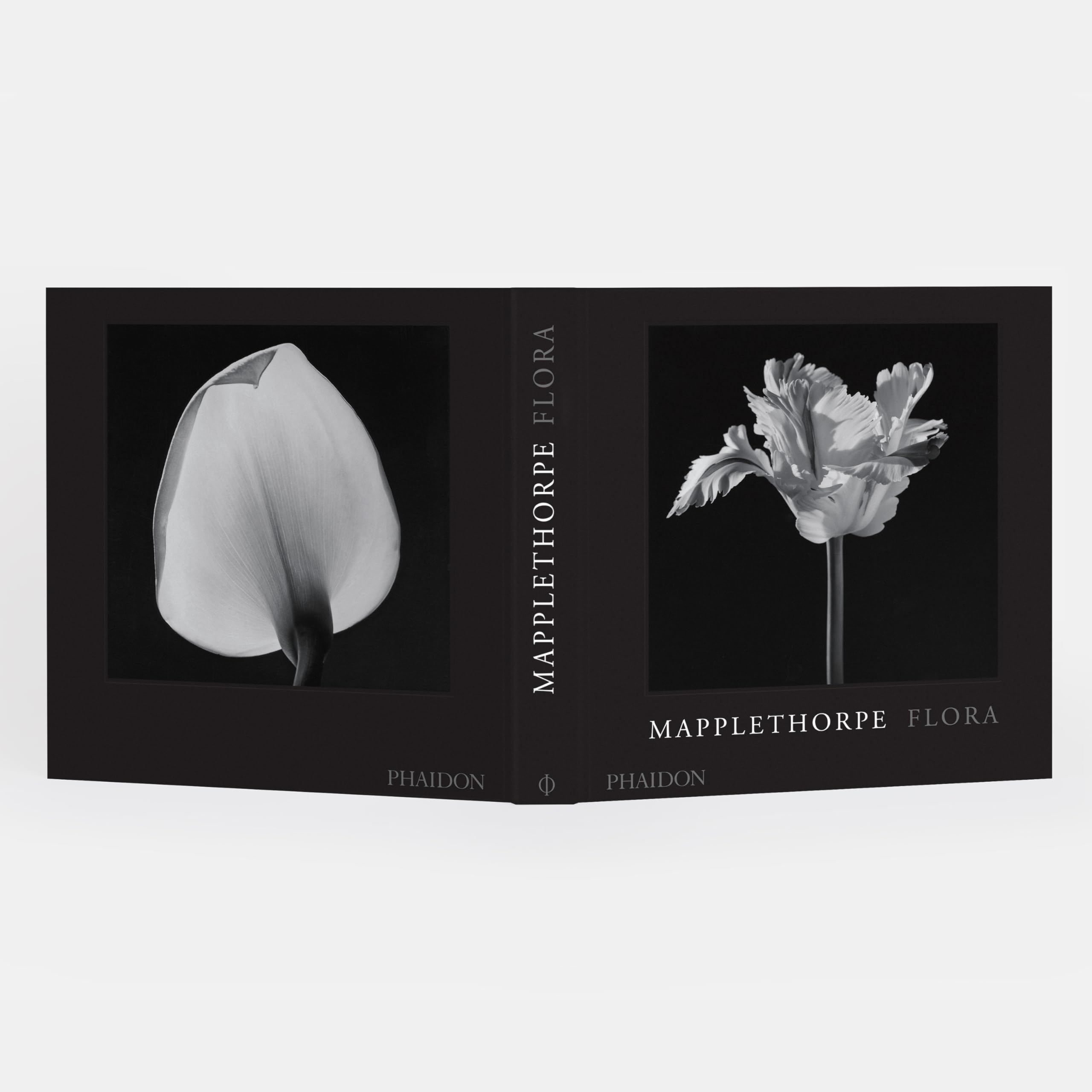 Flora: Les Fleurs de Mapplethorpe