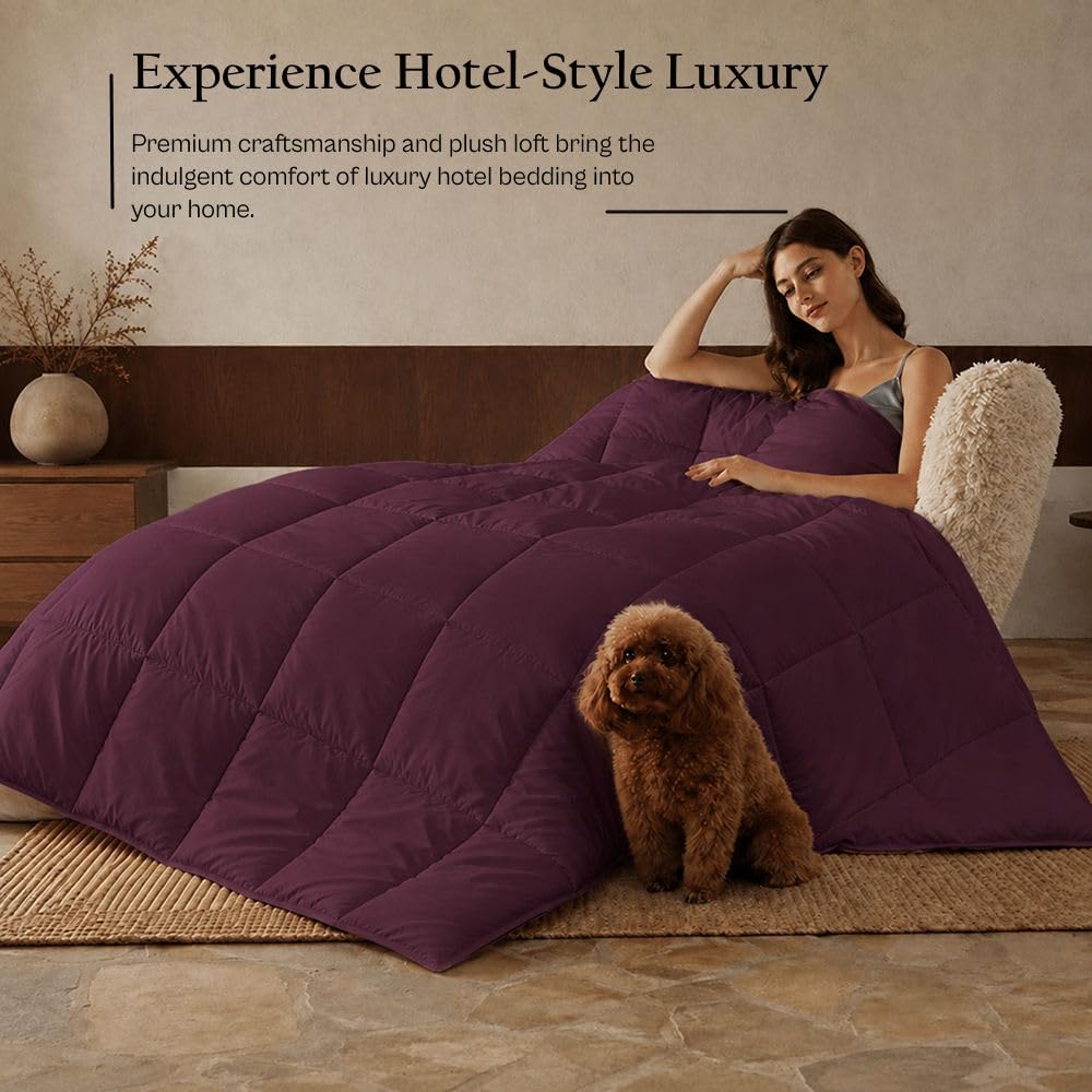 1-Piece All Season Luxurious 800TC Down Alternative Comforter, 100% Egyptian Cotton 100 GSM Comforter Only- Full/Double Wine Solid