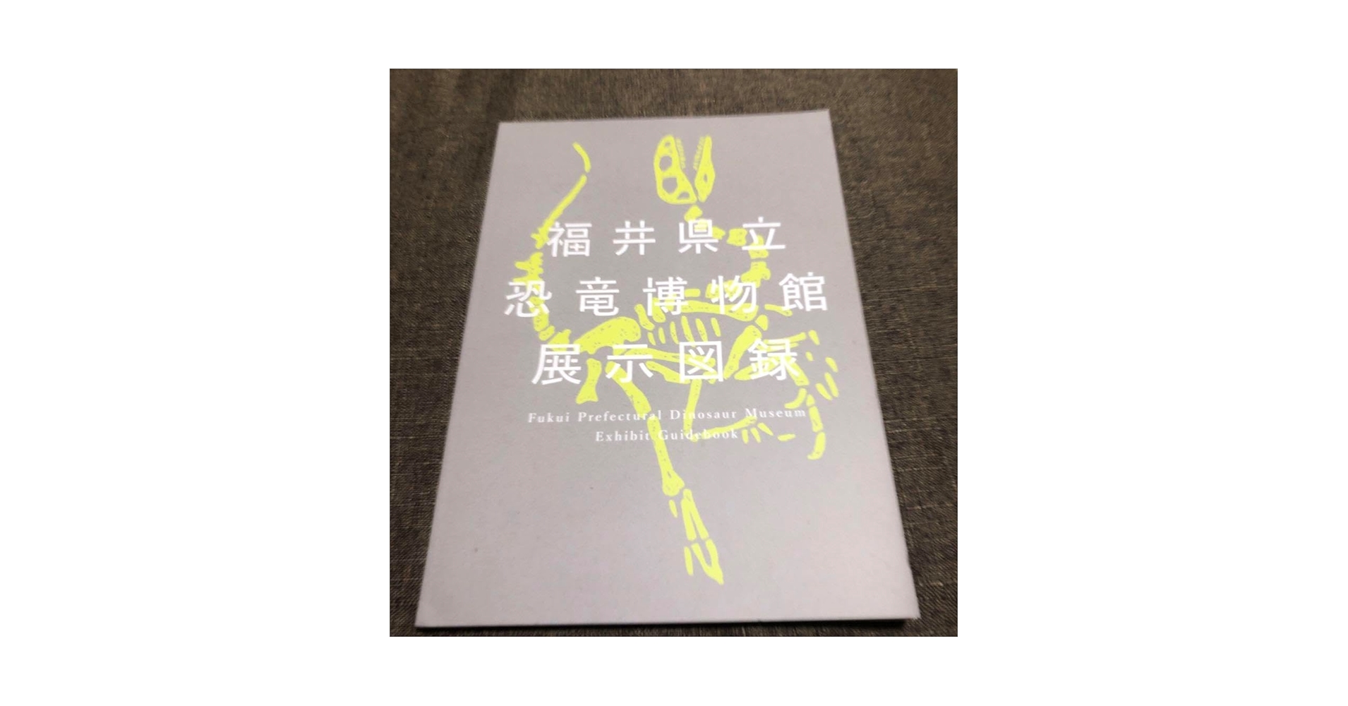 61BsRE5gAaL.jpg_BO30,255,255,