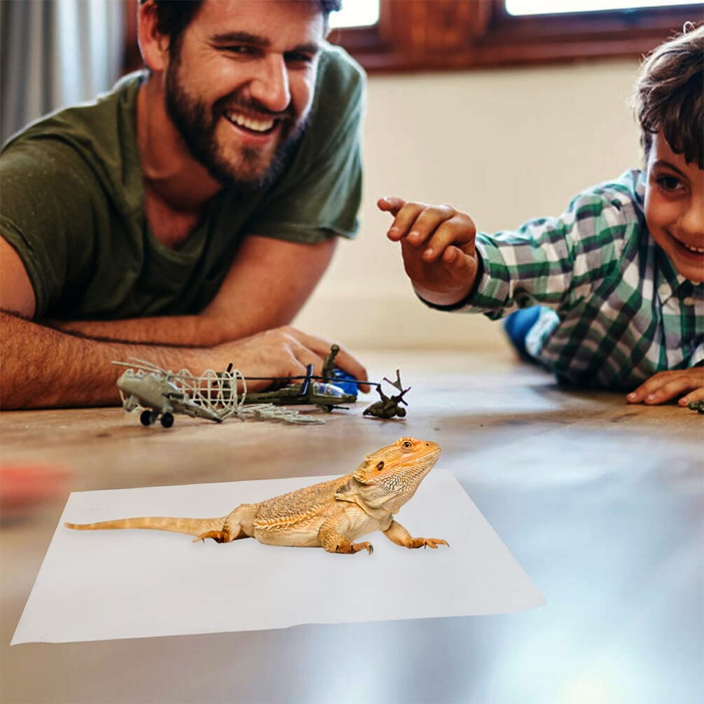 POPETPOP Tortoise Cage Enclosure Indoor Mat Reptile Carpet Pet Box Bottom Mat Reptile Breeding Box Pad Substrate Liner