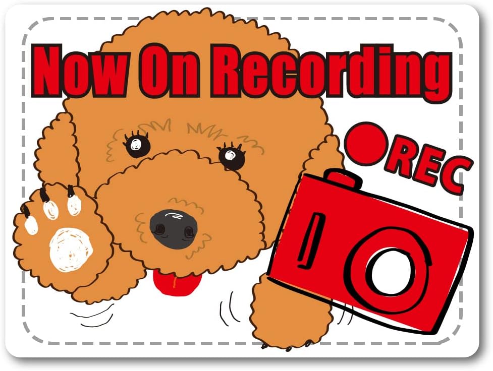 ドライブレコーダー ステッカー マグネットイプードル 犬 かわいい カッコイイ ユニーク 個性 オリジナル 車用 目立つ 録画中 映画 ヨコ型 Uv加工 ドライブレコーダー ステッカー マグネットイプードル 犬 かわいい カッコイイ ユニーク 個性 オリジナル 車用 目立つ 録画中 映画 ヨコ型 Uv加工