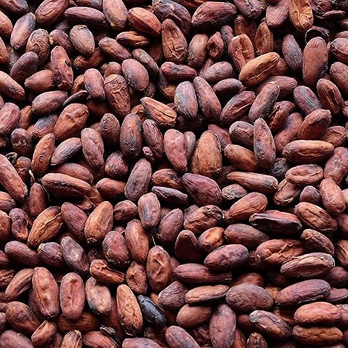 Image of Midday Cocoa Beans | fermented | Sun dried | Raw Cocao Bean | from Kerala, 200 gm