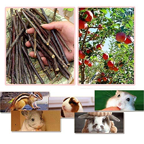 William Craft Apple Sticks Pet Chew Toys Treats for Chinchilla Guinea Pigs Rabbits Squirrel Hamster Bunny - Image 4