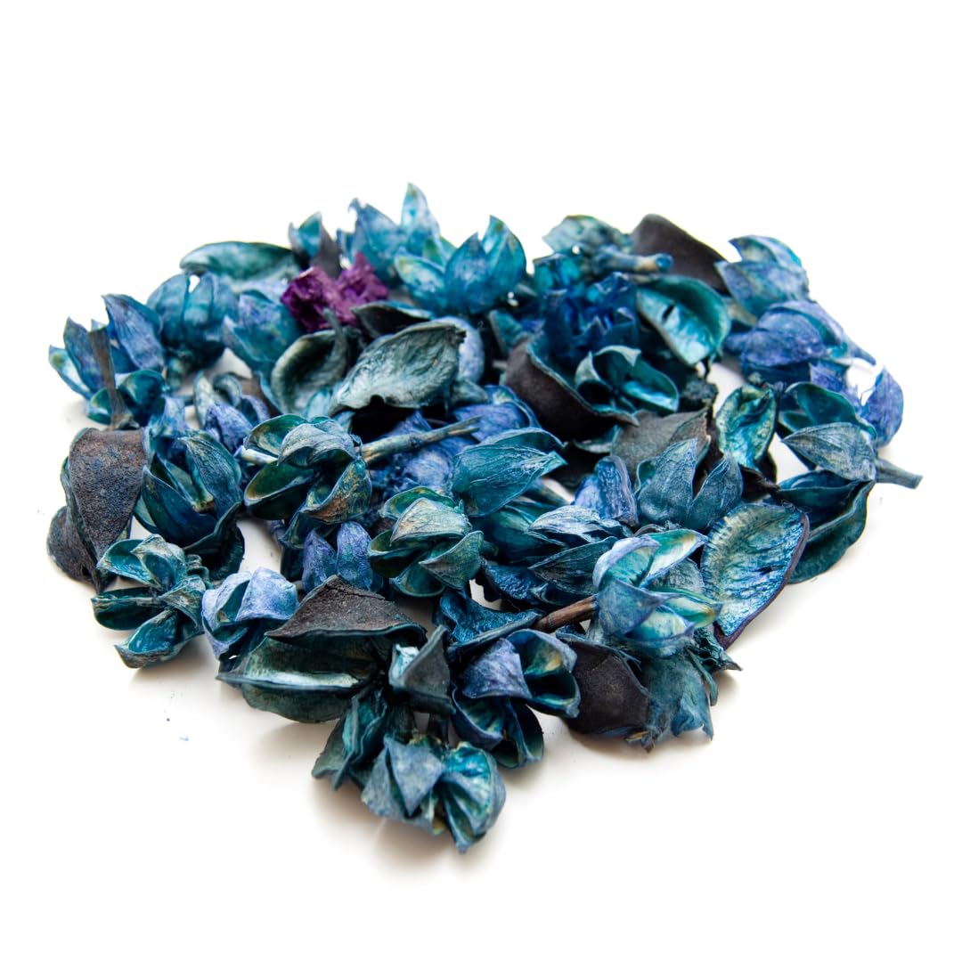 PARENCE.- Oceano Perfume Pot-pourri 140g – Sacchetto decorativo con aroma marittimo – atmosfera fresca per interni, cassetti, auto, bagno – Oceano 140g