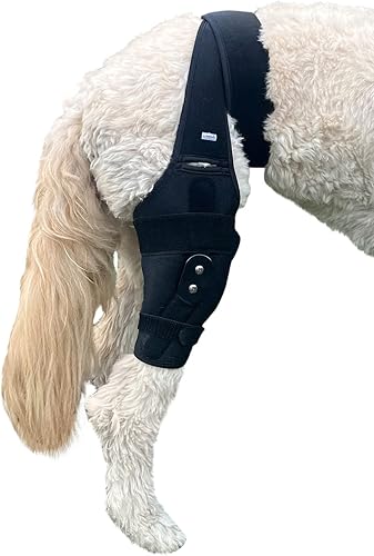Labra Rodillera canina para perro, férula de metal con bisagras, soporte flexible para ACL K9, CCL, rótula luxante, esguinces de ligamento cruzado