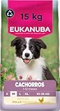 Eukanuba, alimento para Cachorros con Pollo Fresco para Razas Medianas - Alimento seco Premium para Perros Junior, 15 kg