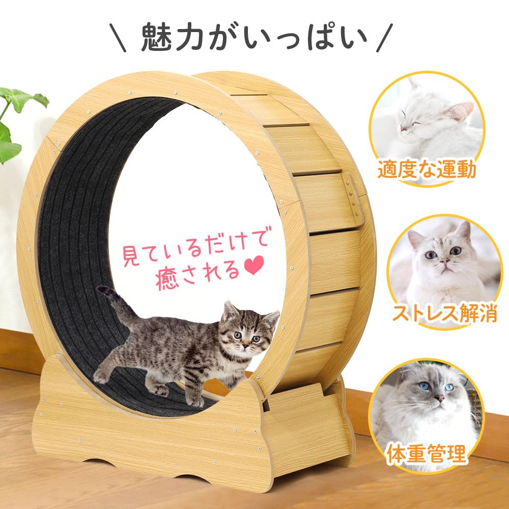 Amazon.co.jp: キャットホイール【直径100cm／大型猫対応】回し車 室内
