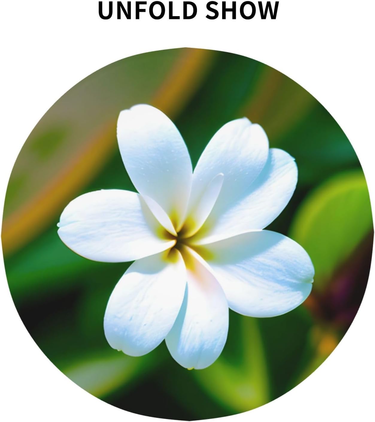 Hawaii Flower 1 Print Wrinkle Free Dining Table Cover for Birthday Party Farmhouse Tablecloths Up to 60 x 60 Inches