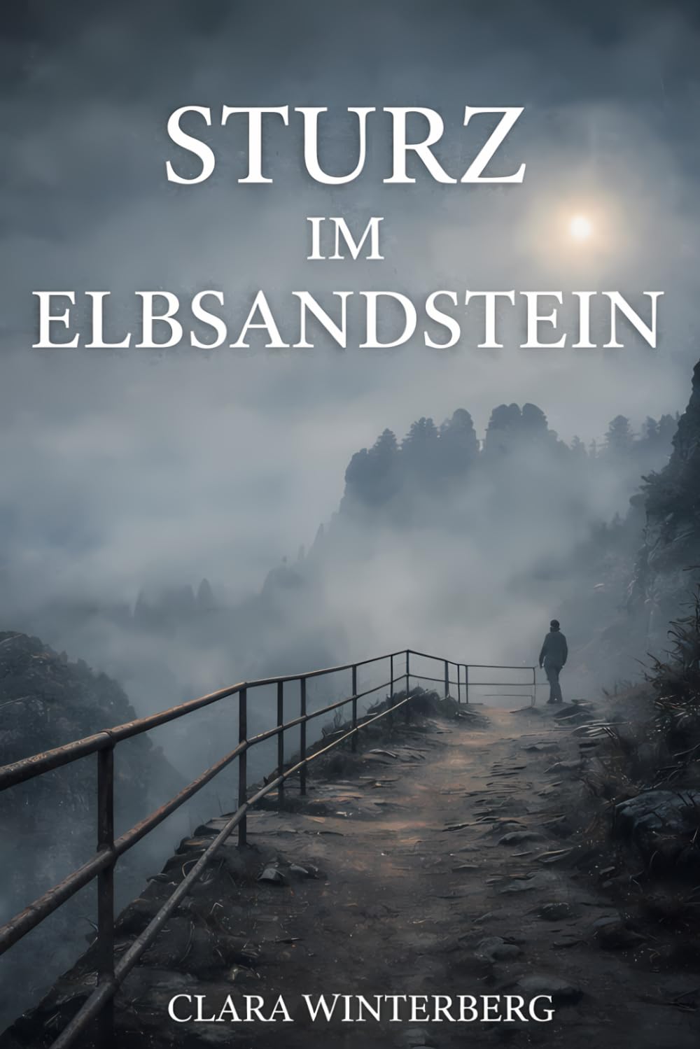 Sturz im Elbsandstein: Ein Krimi aus der Sächsischen Schweiz