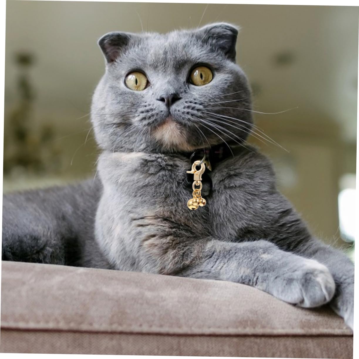 SUPVOX 2Pcs Copper Cat Bell for Dog Collar Small Metal Training Bell Charms PET Pendant Accessories for Dogs and Cats