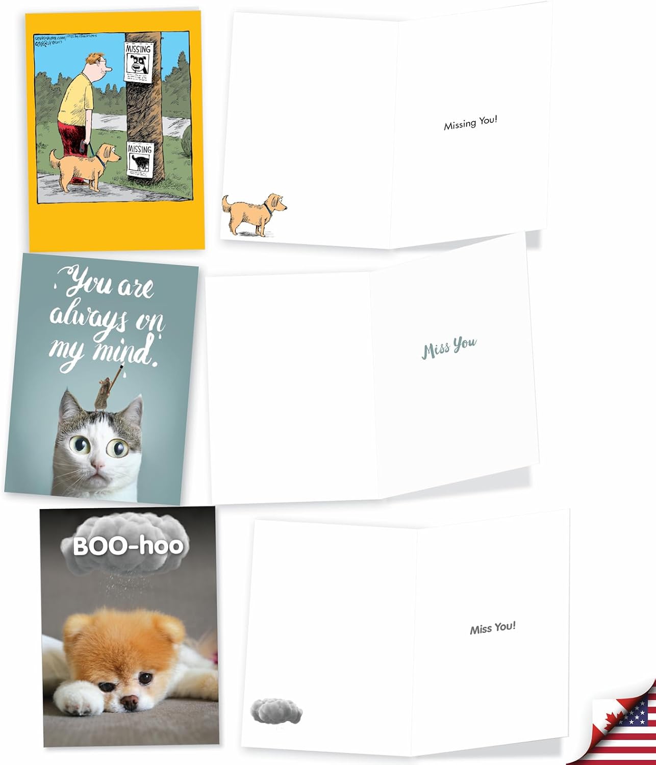 NobleWorks 10 Funny I Miss You Cards Assorted Boxed Notecards Stationery Set w/Envelopes, Friendship Animal Greetings - Miss U Much AC3695MYG-B1x10