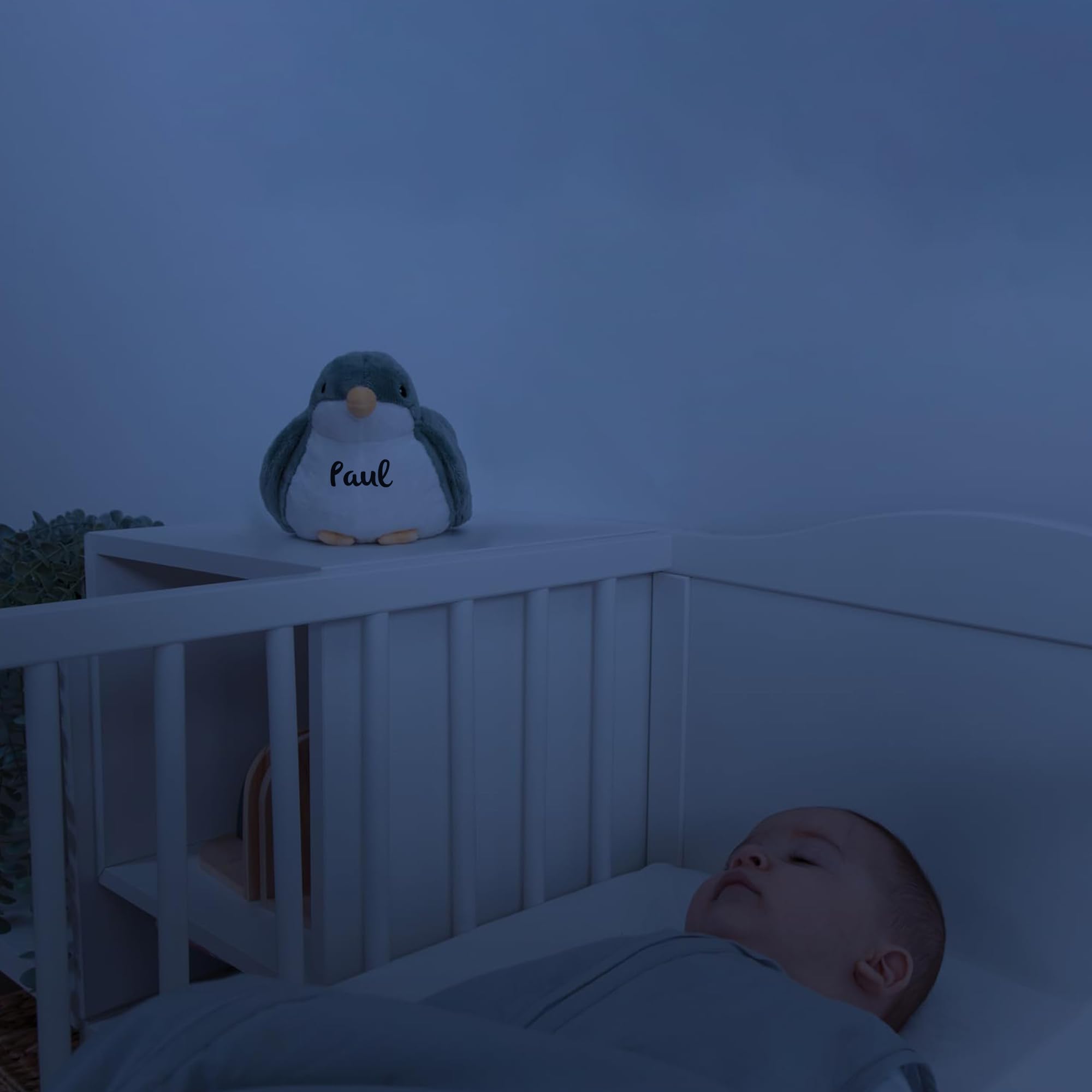 Personalisierbarer Sternenhimmel Projektor Shally der Spatz – mit Sonnenuntergangs-Projektion & beruhigender Musik – Personalisierte Geschenke Baby – Nachtlicht Kinder – ZAZU