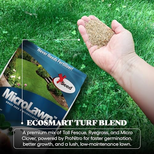 Mini Clover Lawn Seed Blends For Soil Improvement