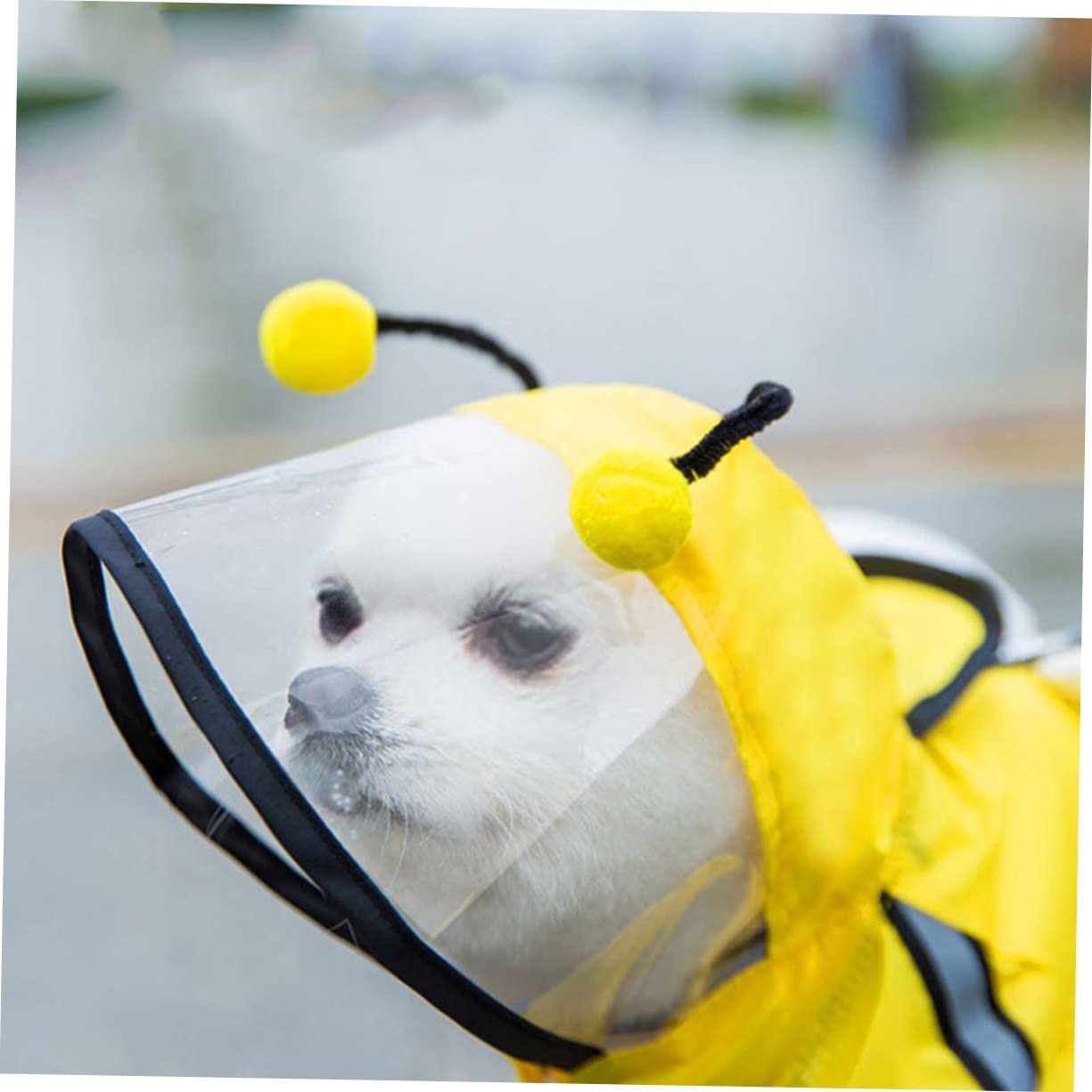 FRCOLOR 3stücke Hunderegenmantel Bienenform wasserdichte Regenponcho Für Kleine Und Mittelgroße Hunde Schützendes Hundezubehör Für Nasses Wetter Super Haltbar Und Stylisch