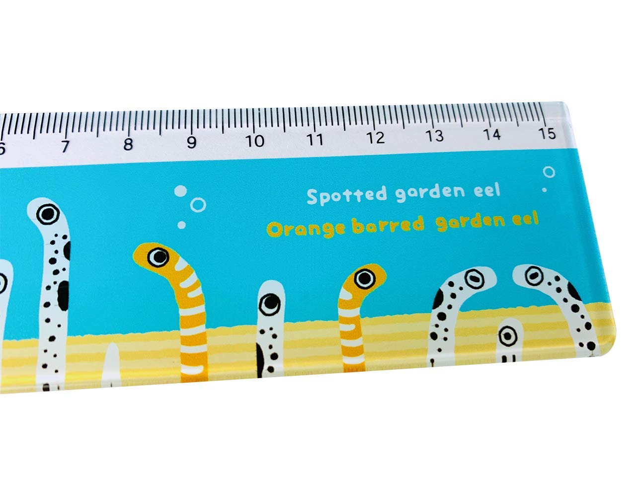 Amazon.co.jp: 定規 15㎝ 【 チンアナゴ ＆ ニシキアナゴ が 整列 して