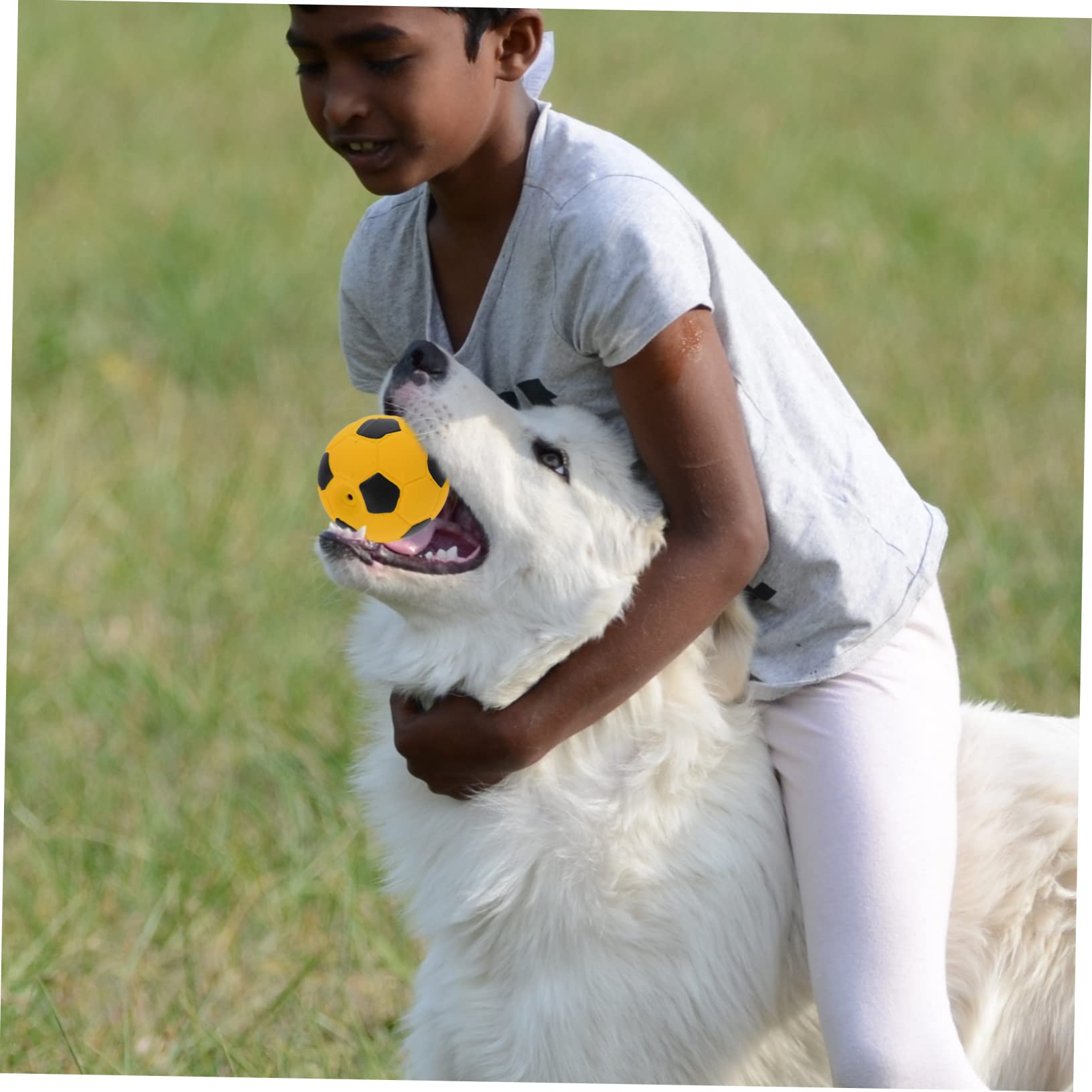 INOOMP 12stücke Hunde Spielzeug Fußballförmiges Kauspielzeug Aus Hochwertigem Interaktives Beschäftigungsspielzeug Für Kleine Und Große Hunde Zur Zahnpflege Und Stressreduktion