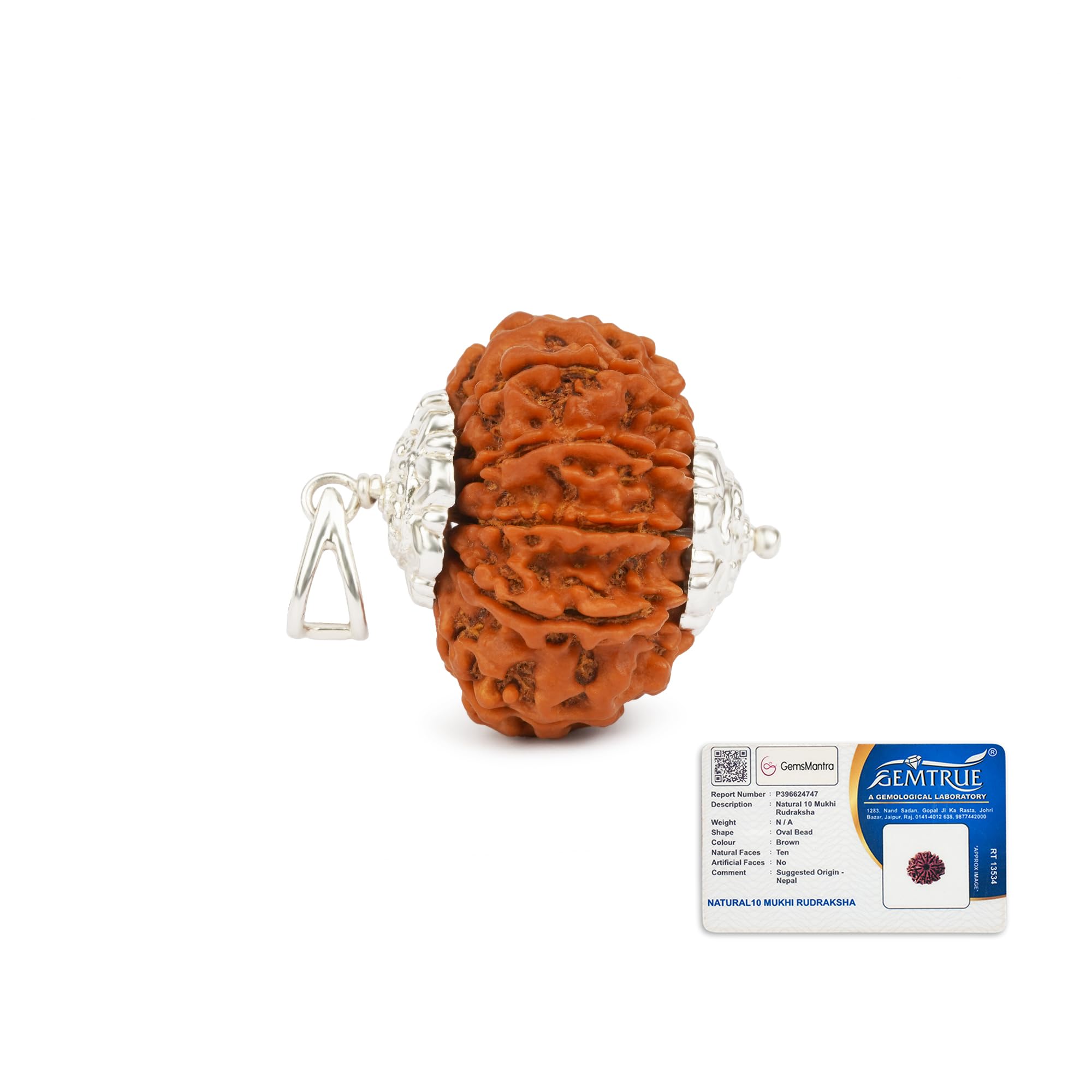GEMSMANTRA 10 Mukhi Rudraksha Bead With Silver Pendant | Medium Size | Original Nepali | Natural and Lab Certified | Represents Lord Vishnu, Enhances Protection, Stability & Success For Men & Women-image-8