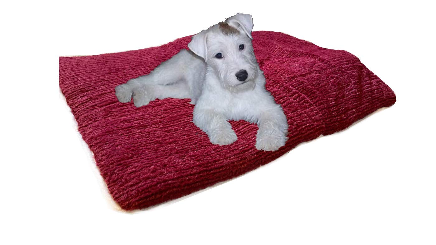 Which Breed Of Dog Has The Largest Litters