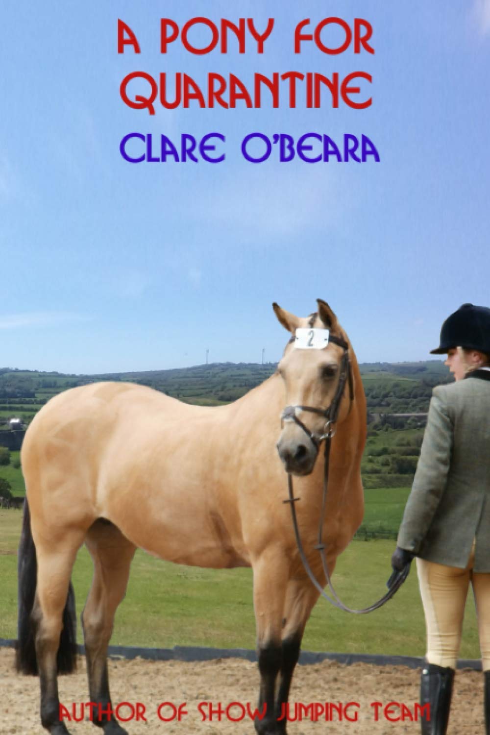 A Pony For Quarantine: 1 (Irish Lockdown)