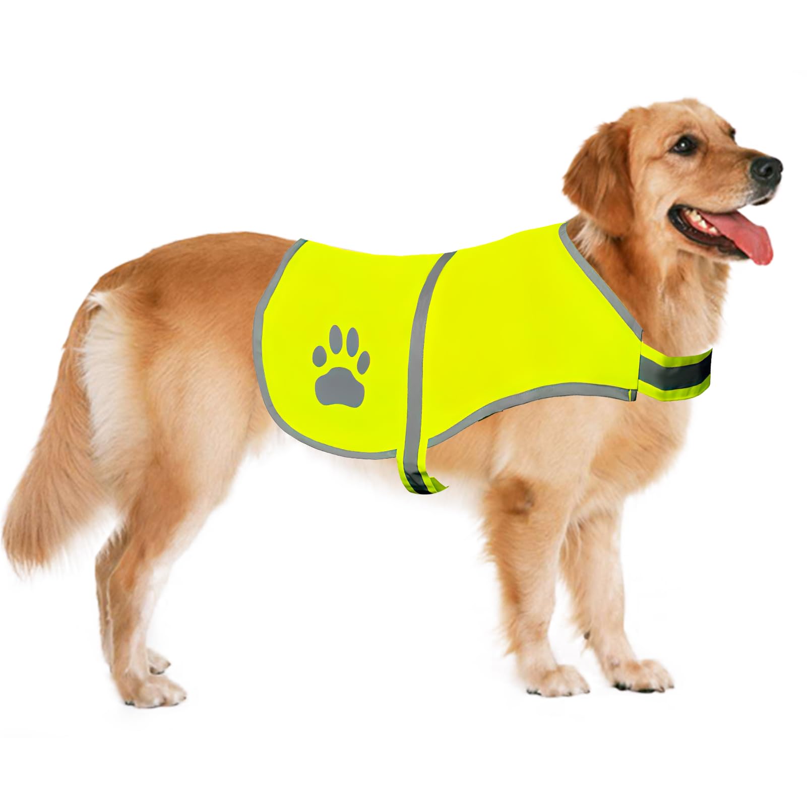 Gilet de Sécurité Réfléchissant pour Chien, Veste Haute Visibilité avec Bandes Réfléchissantes, Confortable et Résistant, pour Promenades Nocturnes et Activités Extérieures, Taille M