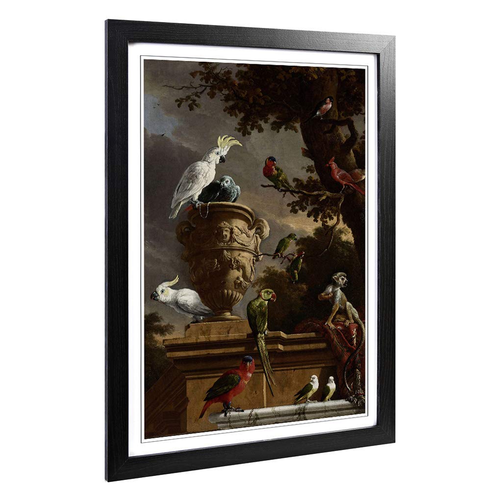 Big Box Art Framed Print of Melchior d'Hondecoeter Monkeys and Birds Design | Wall Art Picture | Home Decor for Kitchen, Living Room, Bedroom, Hallway, Black, A2 / 24.5x18 Inch / 62x45cm